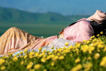 The Color Matching Techniques of Hanfu Have So Many Profound Secrets!