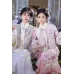 Longyue Chuzhuang 胧月初妆 - Qing Dynasty Hanfu