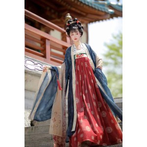Tranquil Palace 繁花景宁 - Tang Dynasty Hanfu Banbi Qixiong Ruqun