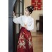 Phoenix Whirling 凤舞 - New Chinese Style Frog Buttons Stand Collar Mamian Skirt Set