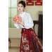 Phoenix Whirling 凤舞 - New Chinese Style Frog Buttons Stand Collar Mamian Skirt Set
