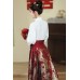 Phoenix Whirling 凤舞 - New Chinese Style Frog Buttons Stand Collar Mamian Skirt Set