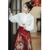 Phoenix Whirling 凤舞 - New Chinese Style Frog Buttons Stand Collar Mamian Skirt Set