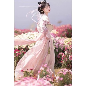 Pink Flower 簪花蝶衣 - Tang Dynasty Hanfu Beizi Qiyao Ruqun