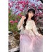 Pear Leaf Poetry 棠梨诗 - Han Element Hanfu Set