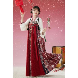 Blissful Dream 盛乐长梦 - Tang Dynasty Hanfu Qixiong Ruqun