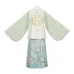 Van Gogh Apricot Blossoms 梵高杏花 - Ming Dynasty Hanfu Set
