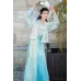 Xian Nv Mu 仙女木 - Tang Dynasty Beizi Hanfu