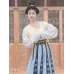 Dan Jin 丹锦 - Tang Dynasty Beizi & Top & Skirt Hanfu