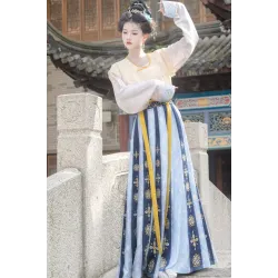 Dan Jin 丹锦 - Tang Dynasty Beizi & Top & Skirt Hanfu
