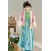 Zui Tao Yuan 醉桃源 - Song Dynasty Hanfu Set