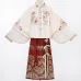 Wealth Snake 招财宝蛇 - Ming Dynasty New Year Hanfu Set