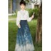 Zhujian Ci 竹涧辞 - New Chinese Style Mamian Skirt Outfut Zhujian Ci 竹涧辞 - New Chinese Style Mamian Skirt Outfut