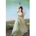 Jade Bough Butterflies 清枝玉蝶 - Tang Dynasty Hanfu Qixiong Hezi Skirt