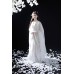 Silver Moon Frostflight 银月飞霜 - Song Dynasty Style Qiyao Ruqun Hanfu