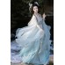Frost Flower Loong 霜花龙影 - Song Dynasty Style Qiyao Hezi Skirt Hanfu