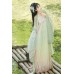 Secluded Place 幽幽 - Tang Dynasty Hanfu Qixiong Hezi Skirt